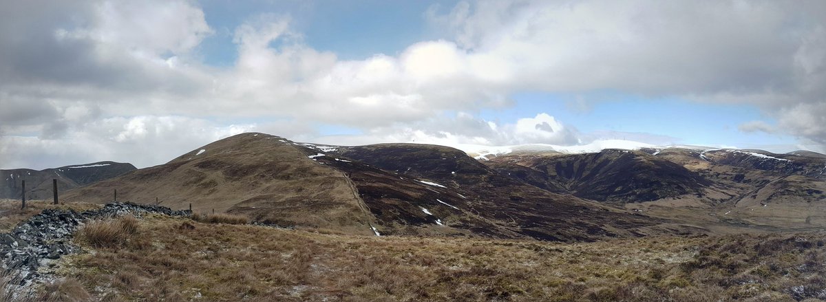 Martin Connell tweet media