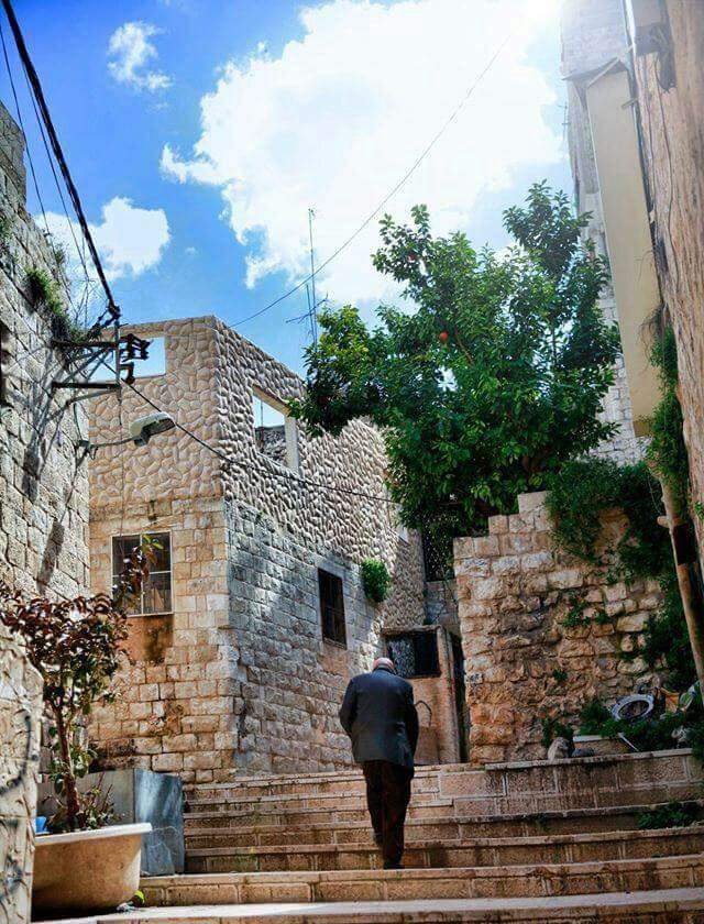 #صورة من حارة الياسمين من مدينة #نابلس  💚🌹

#فلسطين #Palestinian 
#Palestine