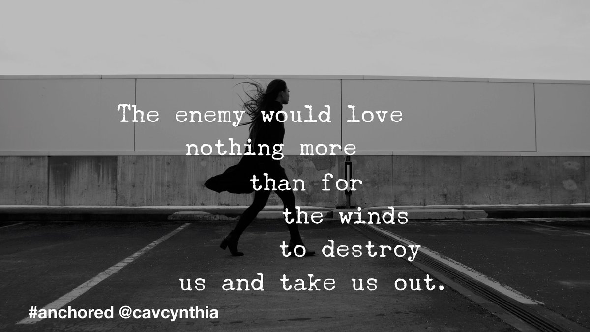 Cavcynthia tweet picture
