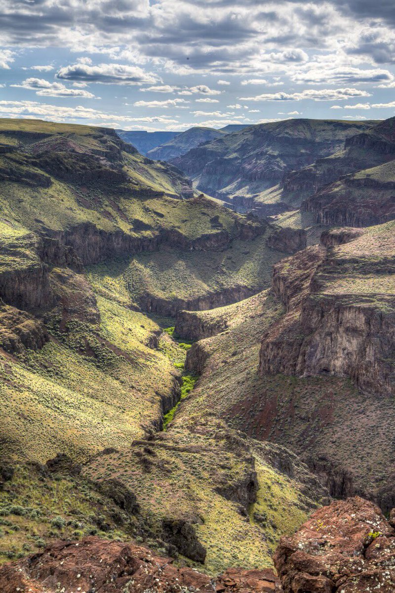 Interior's tweet photo. Looking for epic views, amazing adventure and breathtaking scenery? #FindYourWay to Little Jacks Creek Wild and Scenic River in #Idaho https://t.co/Lhy96mxbEA