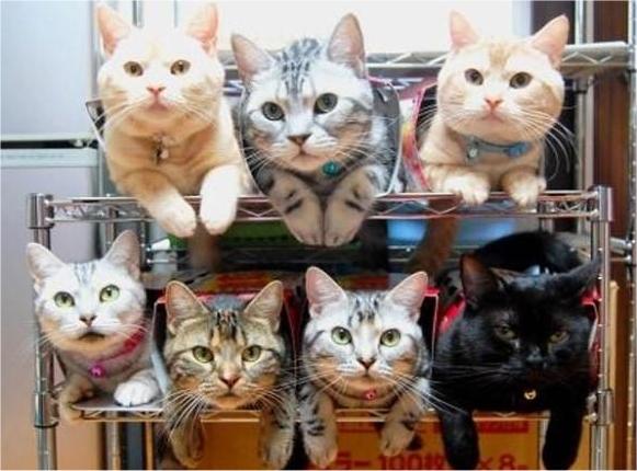 <a href="/strong1203wind/">Jandro Al</a> <a href="/thetideishight/">Allexander001</a> <a href="/mmjoymm_StP/">LittleRiver</a> <a href="/StefanKroeger3/">Stefan Kroeger</a> <a href="/130629130629/">ohanayasann</a> <a href="/GDroneau/">eveinegC</a> <a href="/KibetzVal/">BOX VILLAT</a> <a href="/AnatCastle/">Atatoly Сastle</a> <a href="/RobVan_Doesburg/">Rob van Doesburg</a> <a href="/totorocat43/">Kazunyanko-momo</a> <a href="/2mille16/">Jean Michel Coffec</a> <a href="/Verywimp/">Frank V.❤️Cats😻 040Ehv. Does only Voluntary work!</a> <a href="/KKokorinko/">Kokorinko Kokorinko</a> <a href="/yin00034/">好爺</a> <a href="/suz78/">✨7877✨</a> <a href="/rapsodi5/">rapsodi</a> <a href="/hildekinthaert1/">hilde kinthaert</a> <a href="/sraarmas/">Santa Rosa Amanda Ar</a> <a href="/chiyoka4/">ちよちよ</a> <a href="/johnwatts4/">john watts</a>