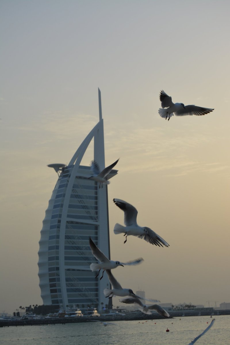 SeethaPoduri's tweet image. #burjalarab #dubai #iconicstructures #SOM