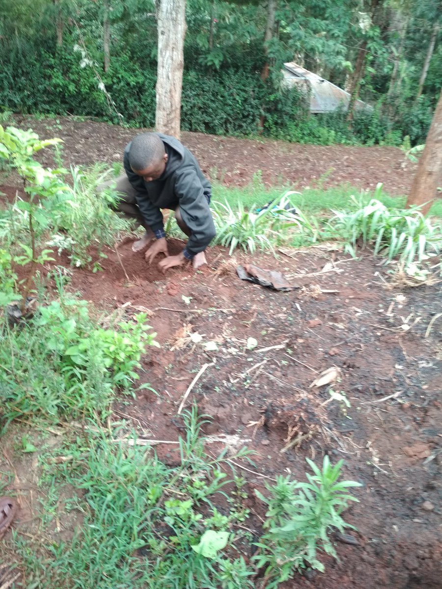 AntonyNgureG's tweet photo. Thank you to all those who joined us in the trees for birthday then later cakes for birthday. #environment254 #environment254branding Friends of Environment 254 Envirotwofivefour Branding Environment 254 https://t.co/CyzX32Rg64 https://t.co/npdsguxyel
