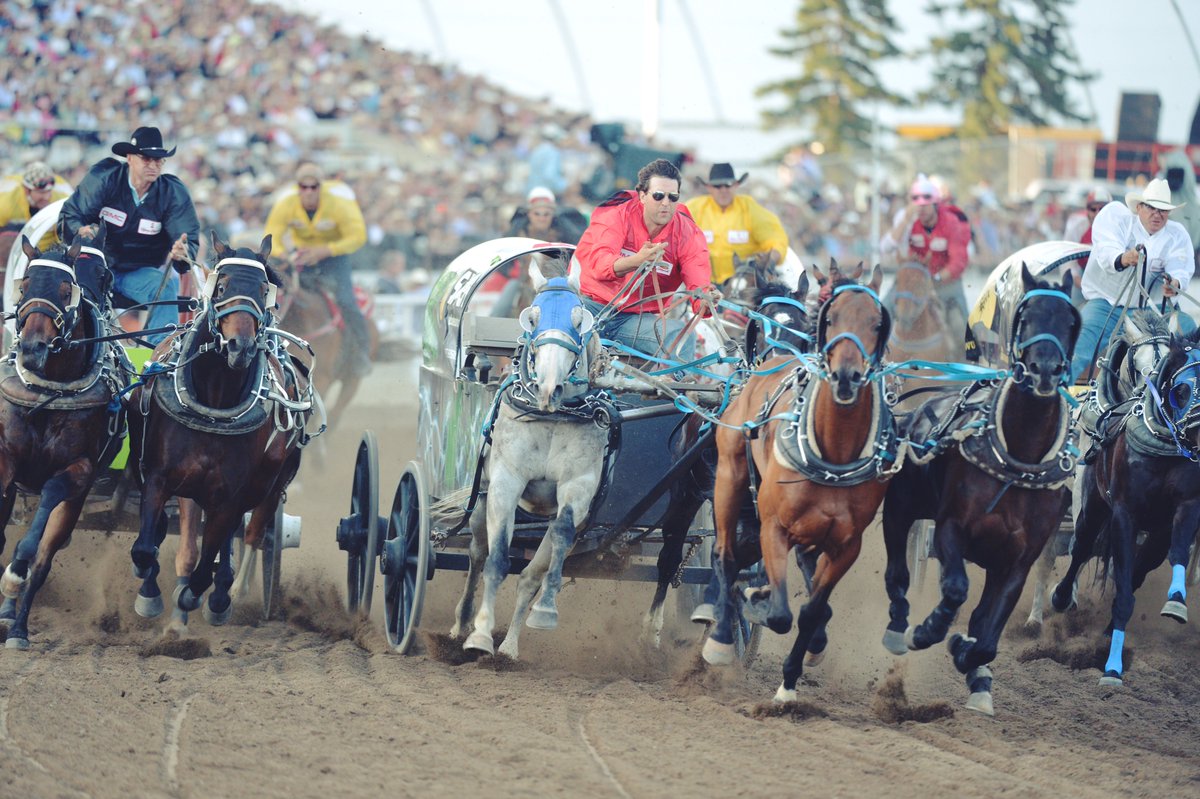 calgarystampede's tweet photo. Did you know the average speed of a chuckwagon at the GMC Rangeland Derby is 60km/h? Become a part of the action at the 2018 Canvas Auction, presented by GMC. https://t.co/3KtY9UpY53 https://t.co/5CojWzDZu3