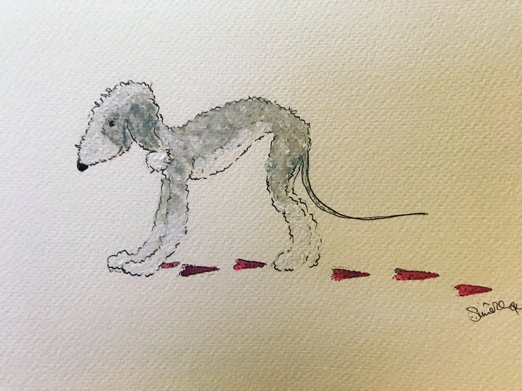 nelliedoodles's tweet photo. Happy #beddlington https://t.co/2N5QCpw3sY