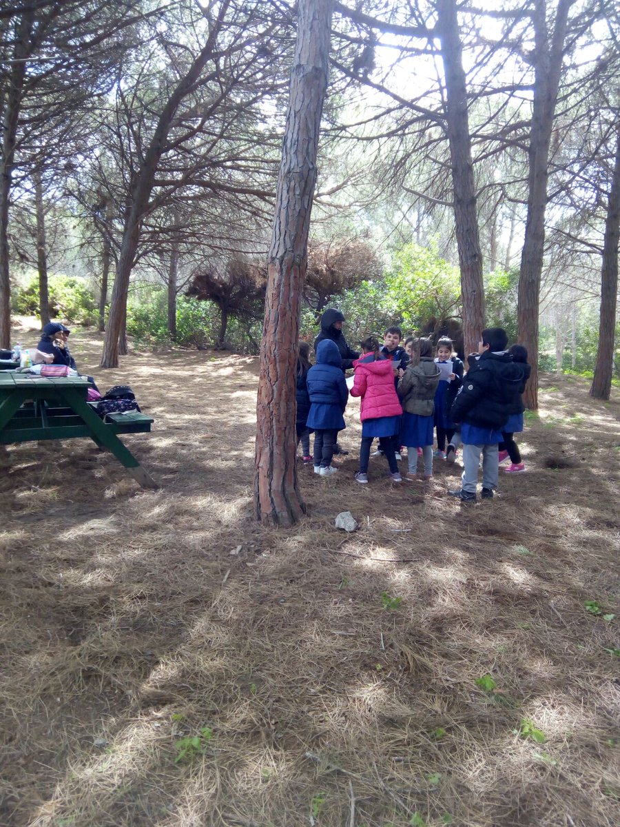 ResMaris's tweet photo. Ma quanto sono bravi ed attenti i nostri ragazzi! 😍
Anche gli alunni delle terze, a Campulongu, partecipano con entusiasmo alle attività di RES MARIS Scuola https://t.co/Stryd2pptO
