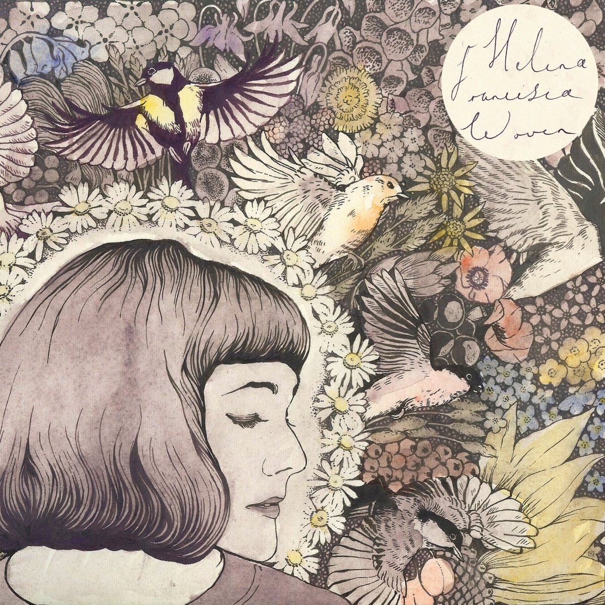 Helena Francesca (@teaandbirds) on Twitter photo 