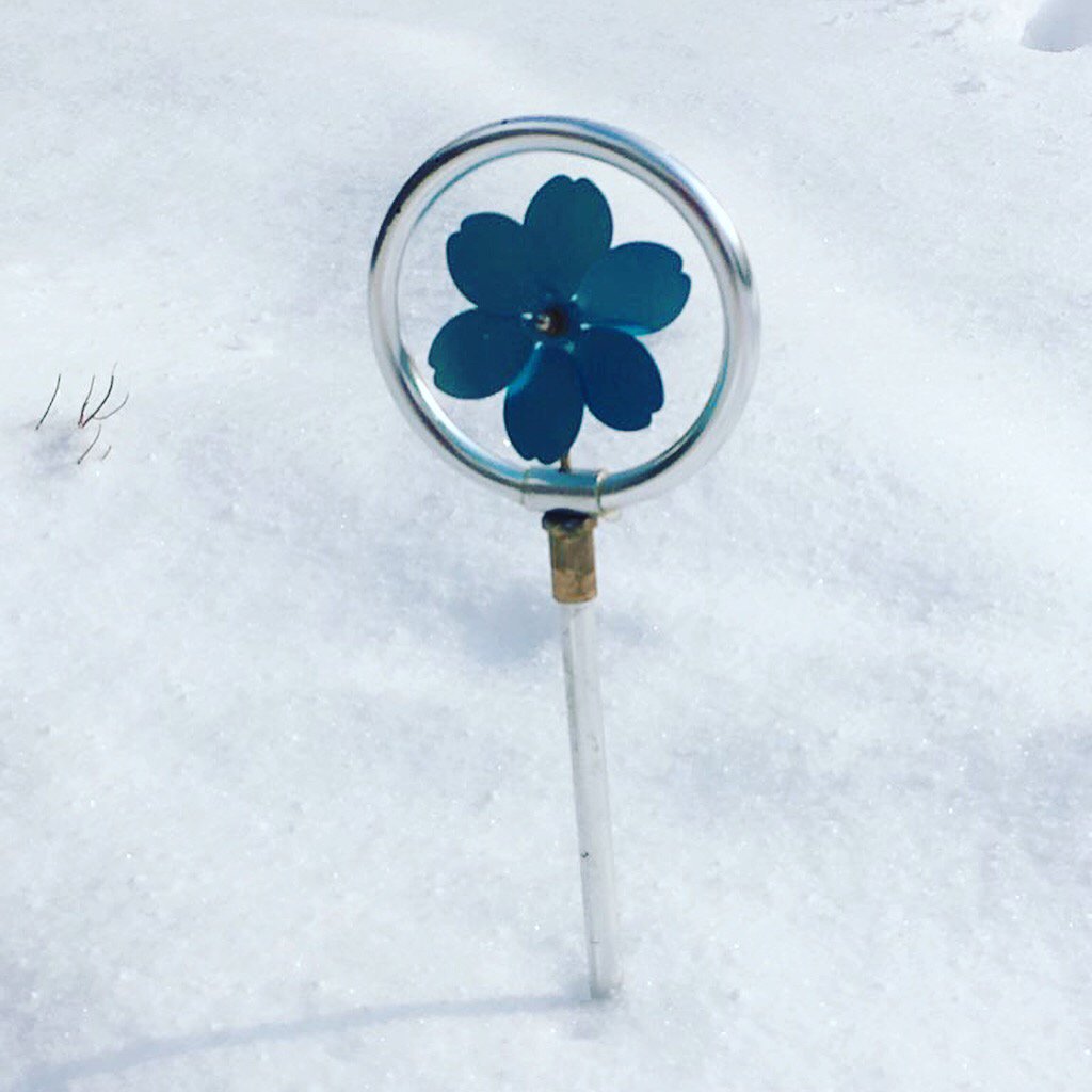 FloproUK's tweet photo. Just because it’s #snowed ⛄️�� again doesn’t mean #flopro #decorativesprinkles can’t still look amazing in your garden. But hurry up #spring please 🙏 so we can actually use them 😀 https://t.co/yanwz3y9Zm
