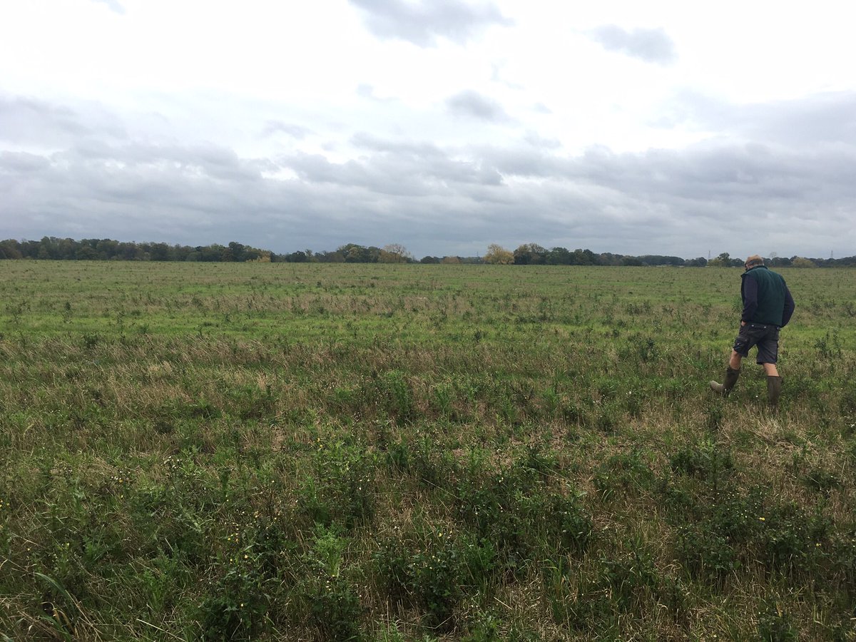 farmerama__'s tweet image. This is an amazing opportunity to learn about what it takes to make bread and be a farmer! Deadline to join @OurFieldProject is Wednesday. Details here loomio.org/d/WufQlHKM/wou… please share @PebbleMagazine @MilesWPhoto @SusFoodTrust @SusFoodStory @WWOOFUK