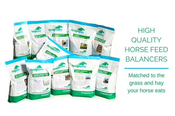 forageplus's tweet photo. Horse feed balancers, highest quality, low iron, equine vitamin and mineral supplements formulated from hundreds of analysis of grass and hay to truly balance the total horse diet to the hay, grass or haylage your horse eats. Learn more: https://t.co/E9cIcRJ0x4 https://t.co/HZDPDk5DRm
