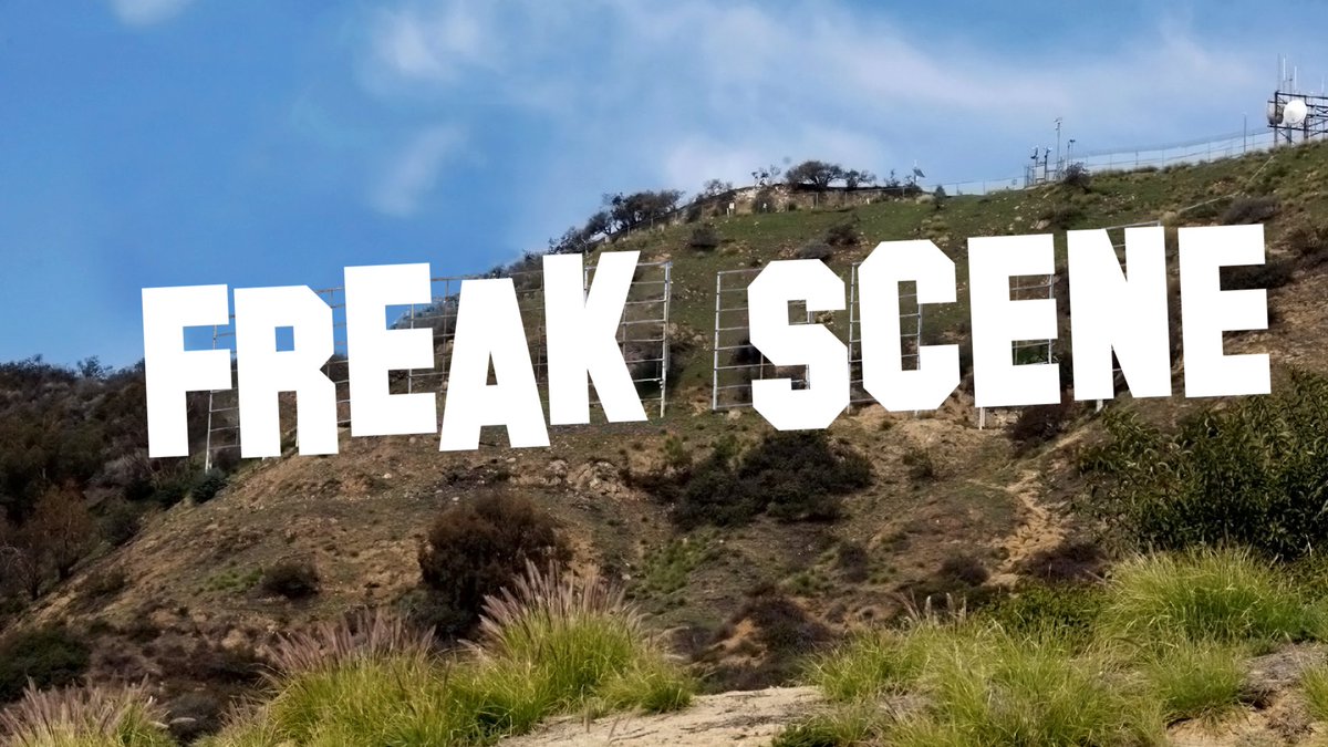 FreakSceneBand tweet picture