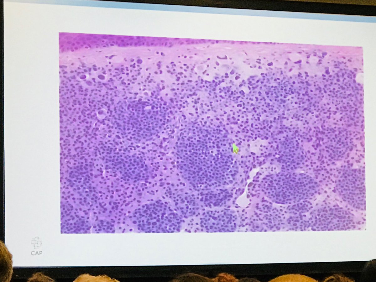 Dr. Victor Prieto tweet media