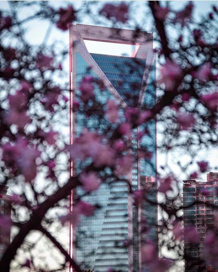 QueenCityUnity's tweet photo. Ready for Spring CLT? ☀️ 📸: David Gilbert
.
#queencityunity https://t.co/dP4HnDTQrh