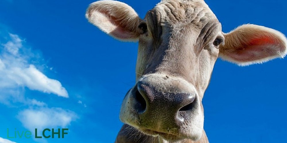 LiveLCHF's tweet photo. Is grass fed organ meat the only way to go? https://t.co/9L4ESPWgpT #Banting #LCHF #NSNG #Moo https://t.co/Ijlwsi0Jfj