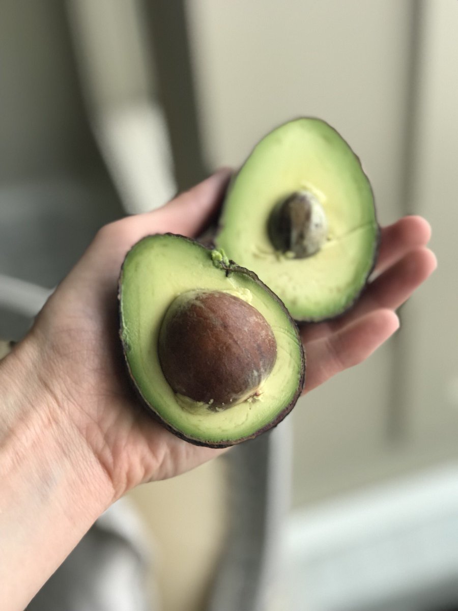 KatBarrell's tweet photo. Sunday morning lessons from Mother Nature: we’re all a little different but equally as tasty 🥑 https://t.co/buHSdweUcQ