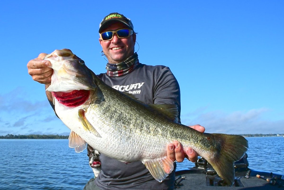 gamblerlures's tweet photo. Gambler owner Val Osinski with his new #PB of 11lbs 12oz!!!
#bassfishing #hugefish #doubledigit https://t.co/xz9amee8xa
