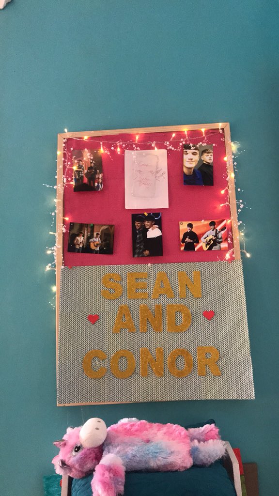 niamh556644's tweet photo. couldn’t ask for a better room😻😻!!! #seanandconorprice @sean_conorprice @sean_conorprice @sean_conorprice @sean_conorprice @sean_conorprice @sean_conorprice @sean_conorprice @sean_conorprice https://t.co/wp2cteysAQ
