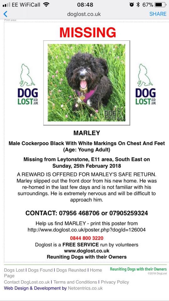 #missing MARLEY boy #Cockerpoo 25/2/18 Sunday 

Black with white markings on chest &amp; feet. Young adult 

He slipped out open door from new home so doesn't know area #Leytonstone #E11 area #REWARD LOCALS HAVE YOU SEEN HIM❓

l.facebook.com/l.php?u=http%3…