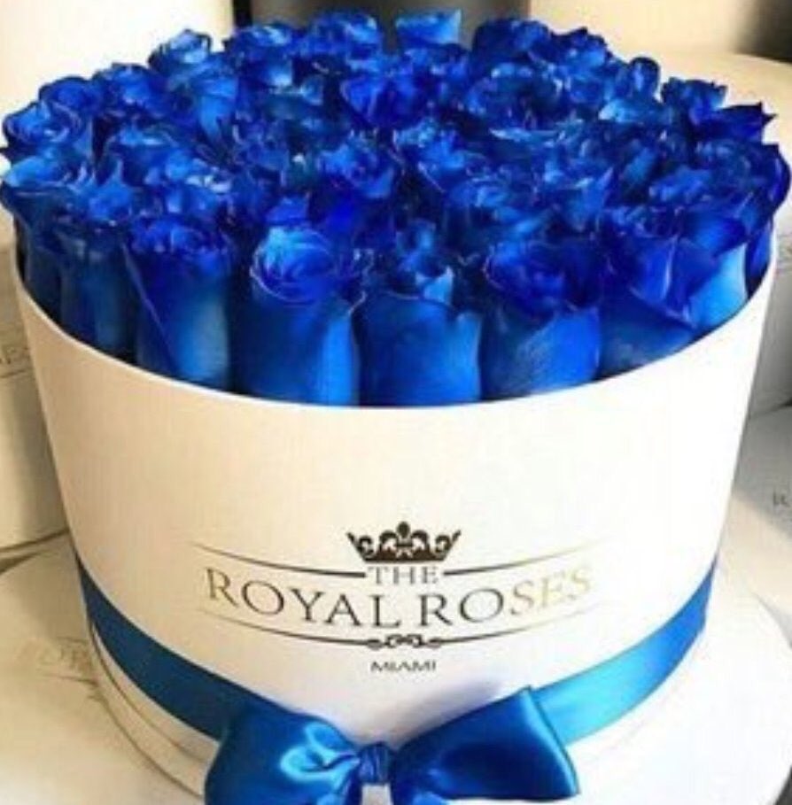 ياحلاة التساؤل الحلُو لما قال خلف : 
في أحد إنتي تحبينه ويذبل❤🎻؟
#مساء_الخير
#ربي_انر_قبر_فقيدي 
#لمحاربي_السرطان