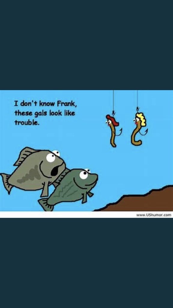 Michael66317347's tweet photo. Fishing is always good to get out even on a bad day. Not sure if the bait to the fish makes a difference. I say this. If they bite and big enough to catch they are big enough to eat. Just obey the state regulations. Fish Hard Fish Safe &amp; Poles Bent !!! https://t.co/vq3UdEtXID