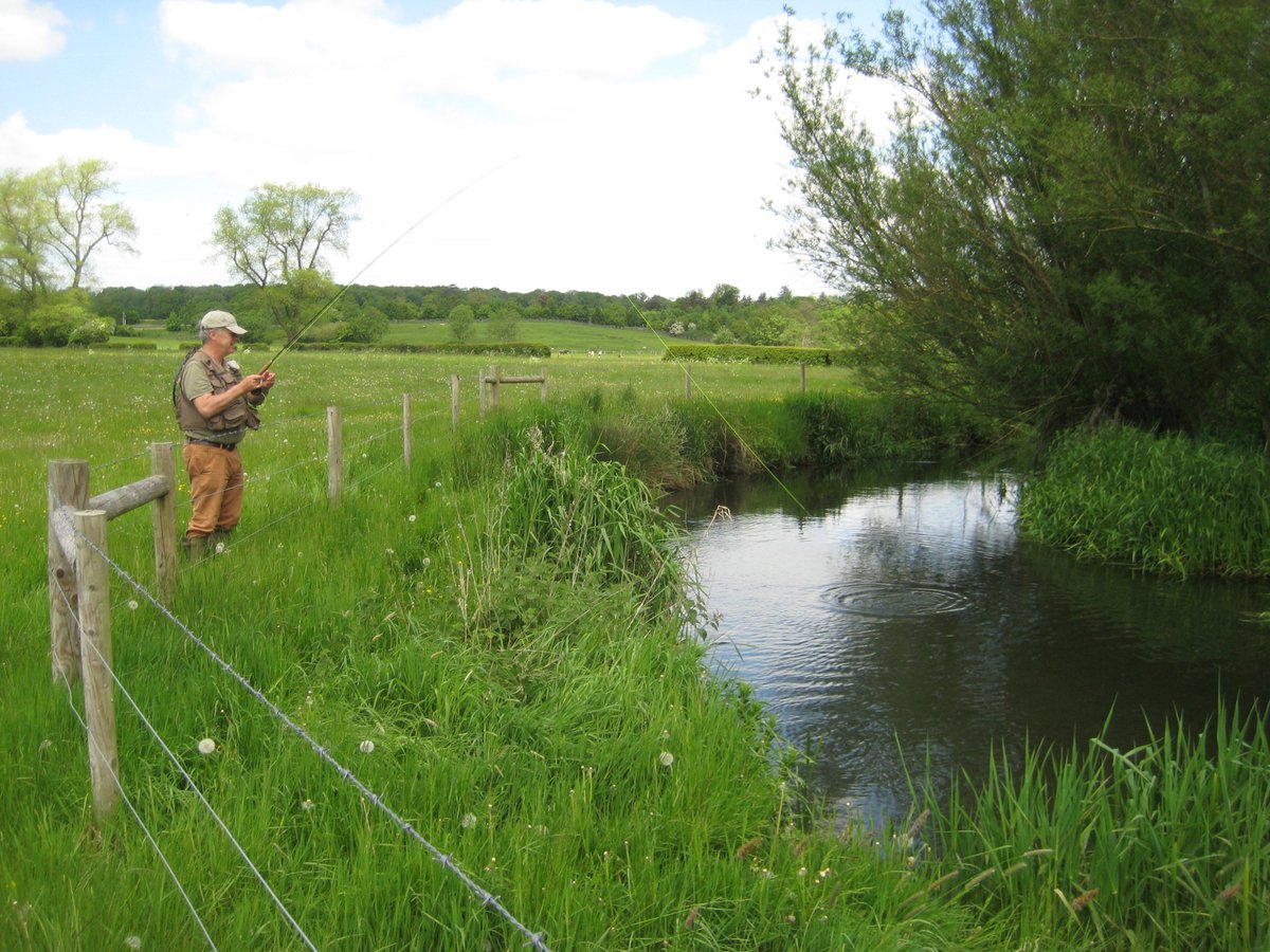 1 day for 1 rod fishing the upper River Wey in Bentley, Hamphire. Delightful small chalk stream fishing for wild brown trout in beautiful surroundings. Wading is permitted throughout. 2018 Season. See: ebay.co.uk/itm/WTT224-1-d… #wttauction @WildTroutTrust