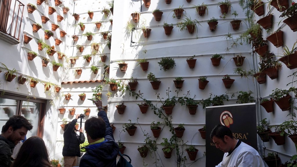 Te invito a conocer@LantiguaRural. Una casa/hotel rural en #HinojosadelDuque con mucho encanto. Habitaciones nuevas y decoradas con mucho gusto y con un patio lleno de vida. Deseando volver en mayo para verlo florecido 🤩🌿🏵️

#AunahoraCórdoba #LosPedroches #15AñosContigo