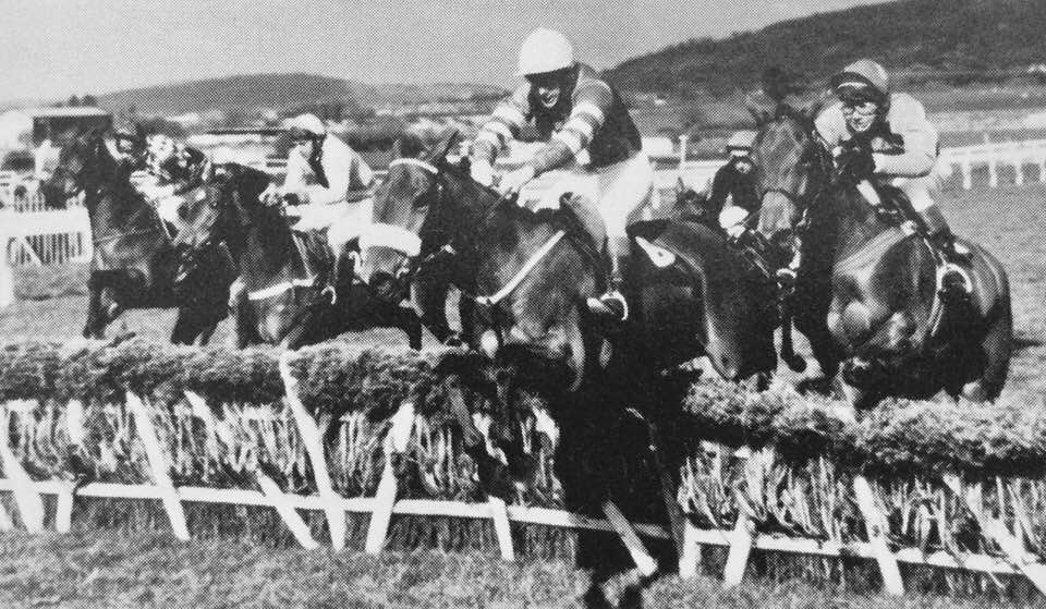 AnaglogsDaughtr's tweet photo. Cheltenham 1981 Waterford Crystal Supreme Novices Hurdle
 Eddie Wee leads over the last from (left to right) the winner Hartstown Niall 'Boots' Madden for trainer Mick O'Toole,  Pay Related, Knighthood and Fifty Dollars More. https://t.co/PuiJb6L7cL