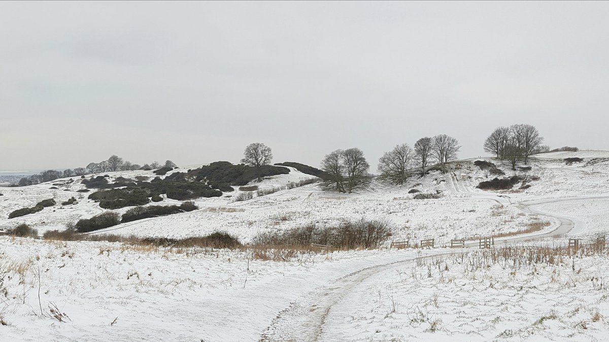 Hadleigh park in the snow...