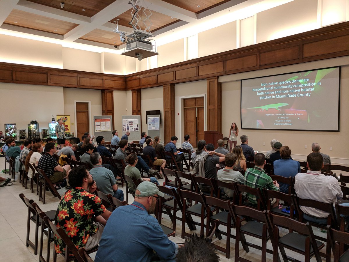 AnoleAnnals's tweet photo. Steph Clements tells us that non-native anoles dominate herp communities in South Florida #anolis2018 https://t.co/9NgZDBfki8
