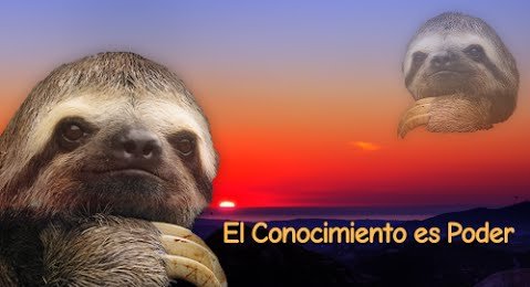 Capture Bizarre® (@capturebizarre) on Twitter photo 