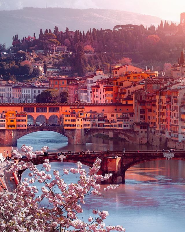 DorianPellumbi's tweet image. Any spring lovers like me here?! Tag someone who love Spring 🌸 🌸 🌸 and let me know if you like the picture.
•
•
I've tagged some of my favorite travel account. Check them out! •
•
#firenze #bdteam #travel #holidays
#springtime #toscana #Italia #b… ift.tt/2GFU1eD