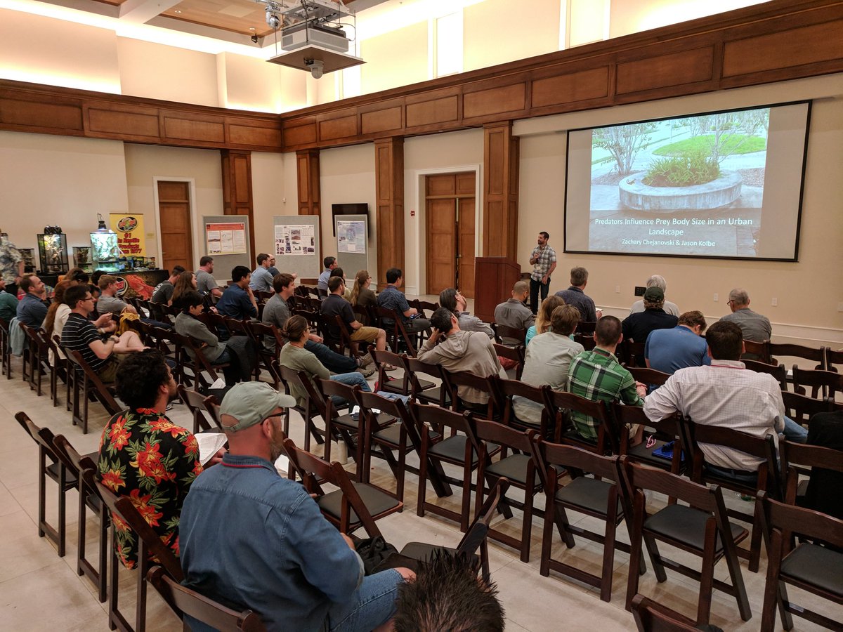 AnoleAnnals's tweet photo. Zach Chejanovski from the Kolbe Lab at @universityofri tells us that lizard predators influence the body size of introduced brown anoles in FL #anolis2018 @FairchildGarden https://t.co/g2isackOSF