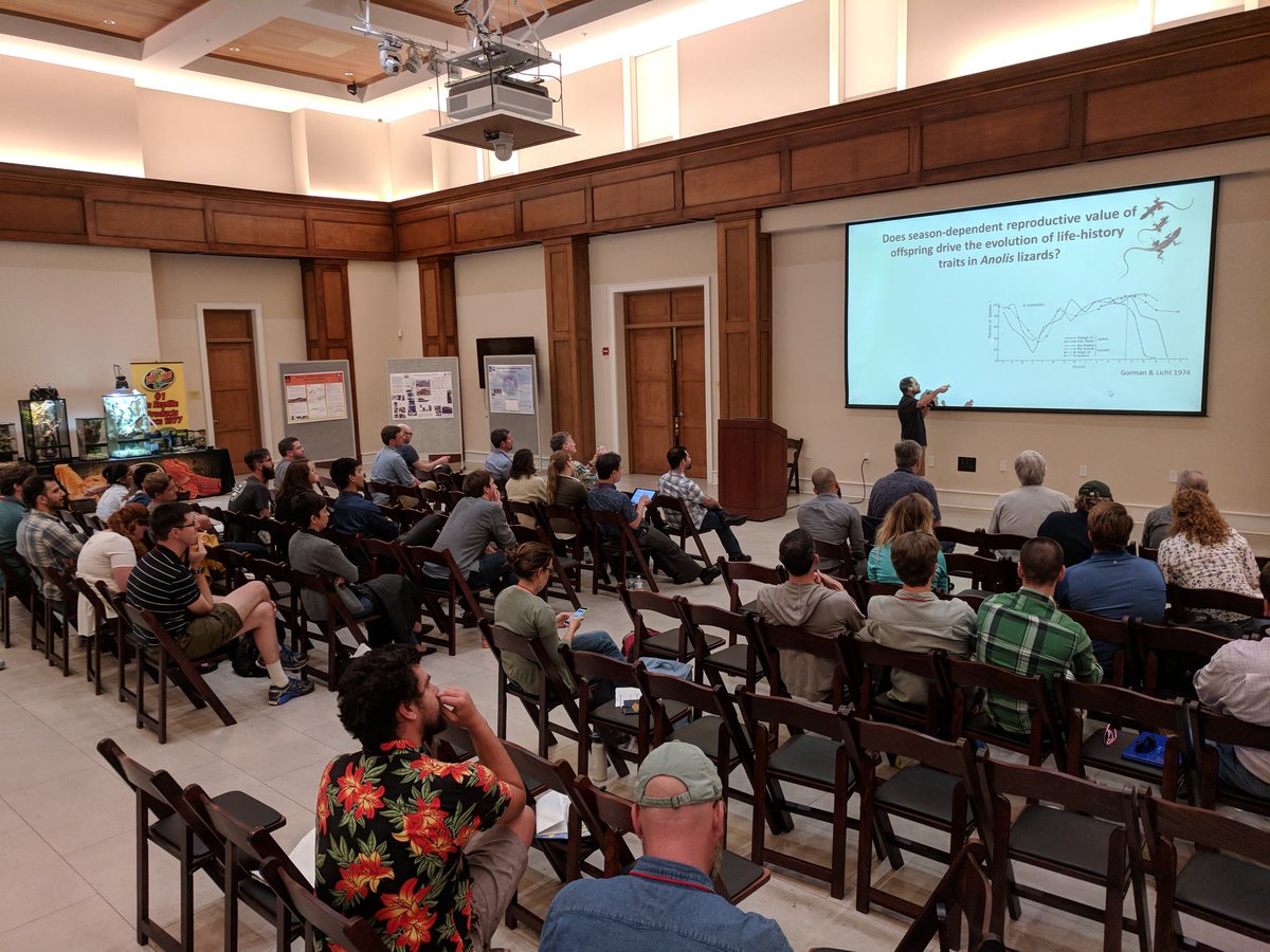 AnoleAnnals's tweet photo. Josh Hall from the Warner Lab at @AuburnU is telling us about seasonality in reproduction of anoles #anolis2018 π₯π¦π₯π¦ https://t.co/OXzwxwNooL