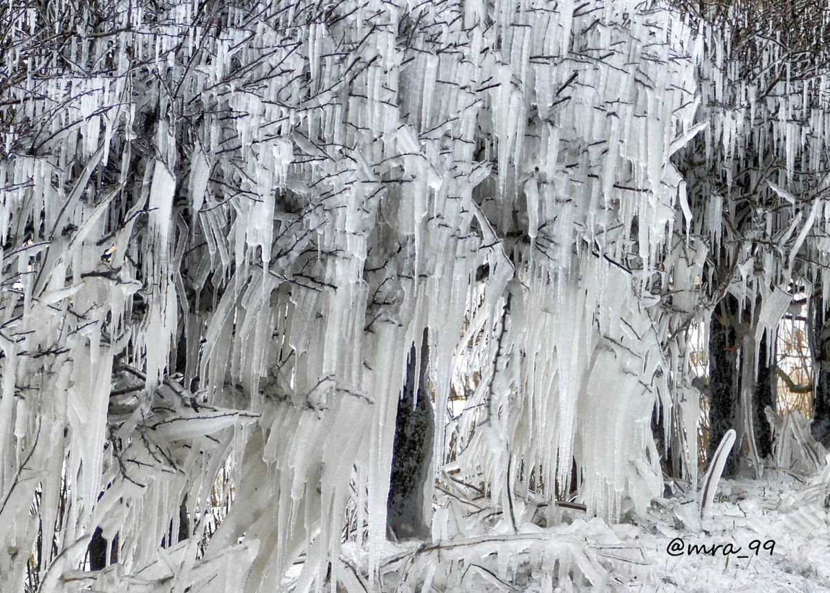 Deep-Frozen #Northumberland this afternoon! 
#Icicles #Hexham #StormHour