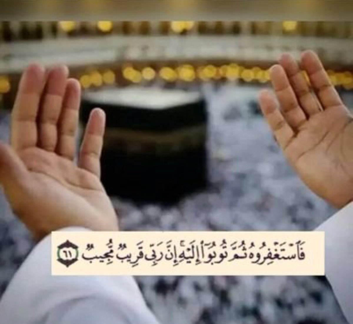 يَا رَبِّ… عَبْدُكَ عِنْدَ بَابِكَ لَمْ يَزَلْ
يَدْعُو… وَفِي صَمْتٍ يُؤَمِّنُ دَمْعُهُ
-
رِيْحُ التَّشَكِّيْ كَمْ ذَرَتْهُ… فَمَنْ لَهُ
إِلَّاكَ يَجْمَعُ… إنْ تَعَذَّرَ جَمْعُهُ؟!
#عيسى_جرابا