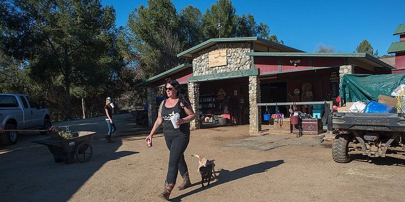 KPBSnews's tweet photo. UPDATE: #HiCaliber Horse Rescue donor funds went toward things like late-night fast-food and bar tabs, mobile phone spy technology and Weight Watchers. The nonprofit is embroiled in allegations of fraud and animal abuse. https://t.co/5FAiJyGDOL via @inewsource https://t.co/xmQ6fBXyEk