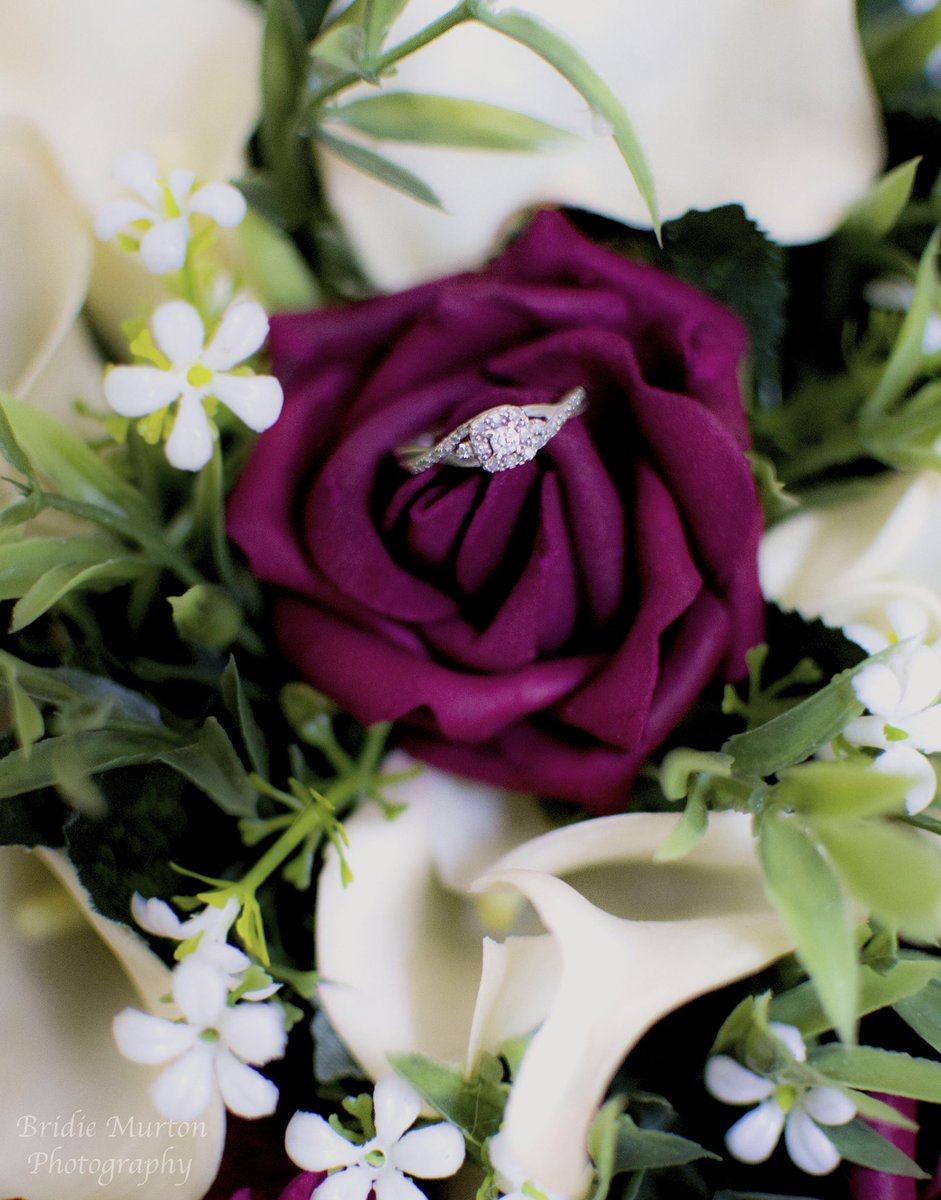 BMPhotography9 tweet picture