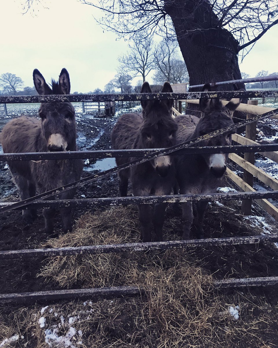 Alexander Nield tweet media