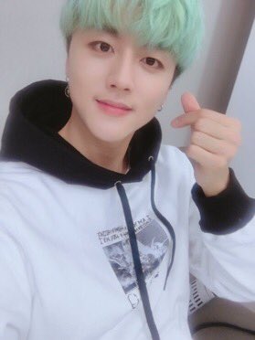 picsyoungbin's tweet photo. 🍀 https://t.co/c97744Ov3y