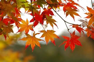 Jimena_LaTorre's tweet photo. SÁBADO 24-3 en LA PLATA #equinoccio #Otoño con @Majo20052000  en CABA- FORTALEZA MÁGICA con Jimena La Torre ... más info al 1157804419 ... Dale energía a tus proyectos 2018 ...bajo el sol en #aries comenzar a sentirte NÚMERO UNO ... #empezaporvos https://t.co/MMt7DcMFp5