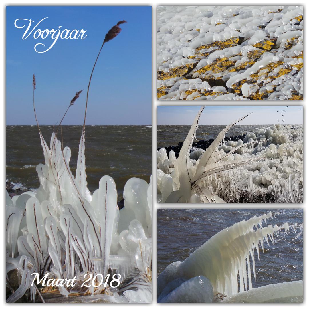 hoanskrobber's tweet photo. 18 maart #voorjaar Grutto's en Tureluurs terug in de weiden maar de koude #oostenwind zorgt voor natuurlijke ijssculpturen langs het #ijsselmeer en opnieuw een ijslaag in de sloten #ijzel #ijzig #ijssculptuur #ijs #koud #gevoelstemperatuur #frozen https://t.co/3xFZOR5e6p