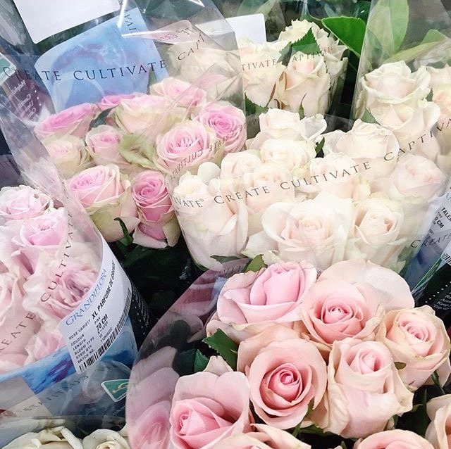 Beth G. Harper tweet media