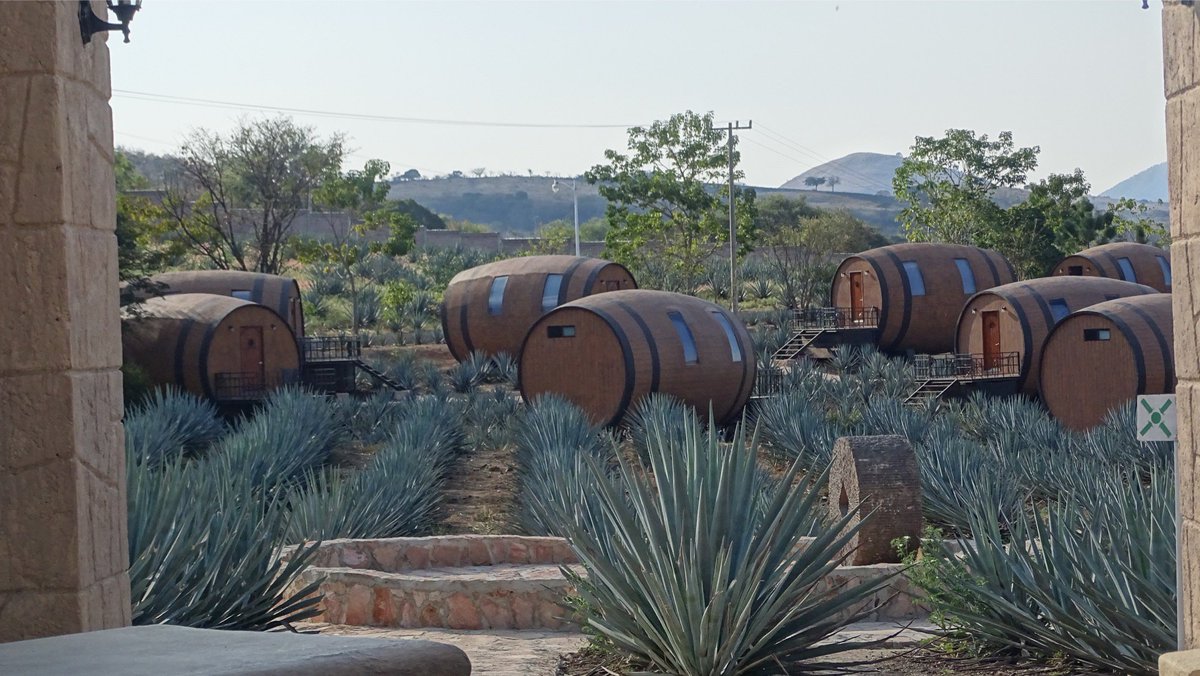 MaticesHotel's tweet photo. Postal de  #maticeshoteldebarricas #tequilacofradia #tequilapueblomagico #tesorosdemexico #haciendasycasonas #hoteltematico @haciendasycason @JaliscoEsMexico @BoletinViajes @viajeroscalle @stereotrotamund @consultoreshote https://t.co/87Mmh89wSd