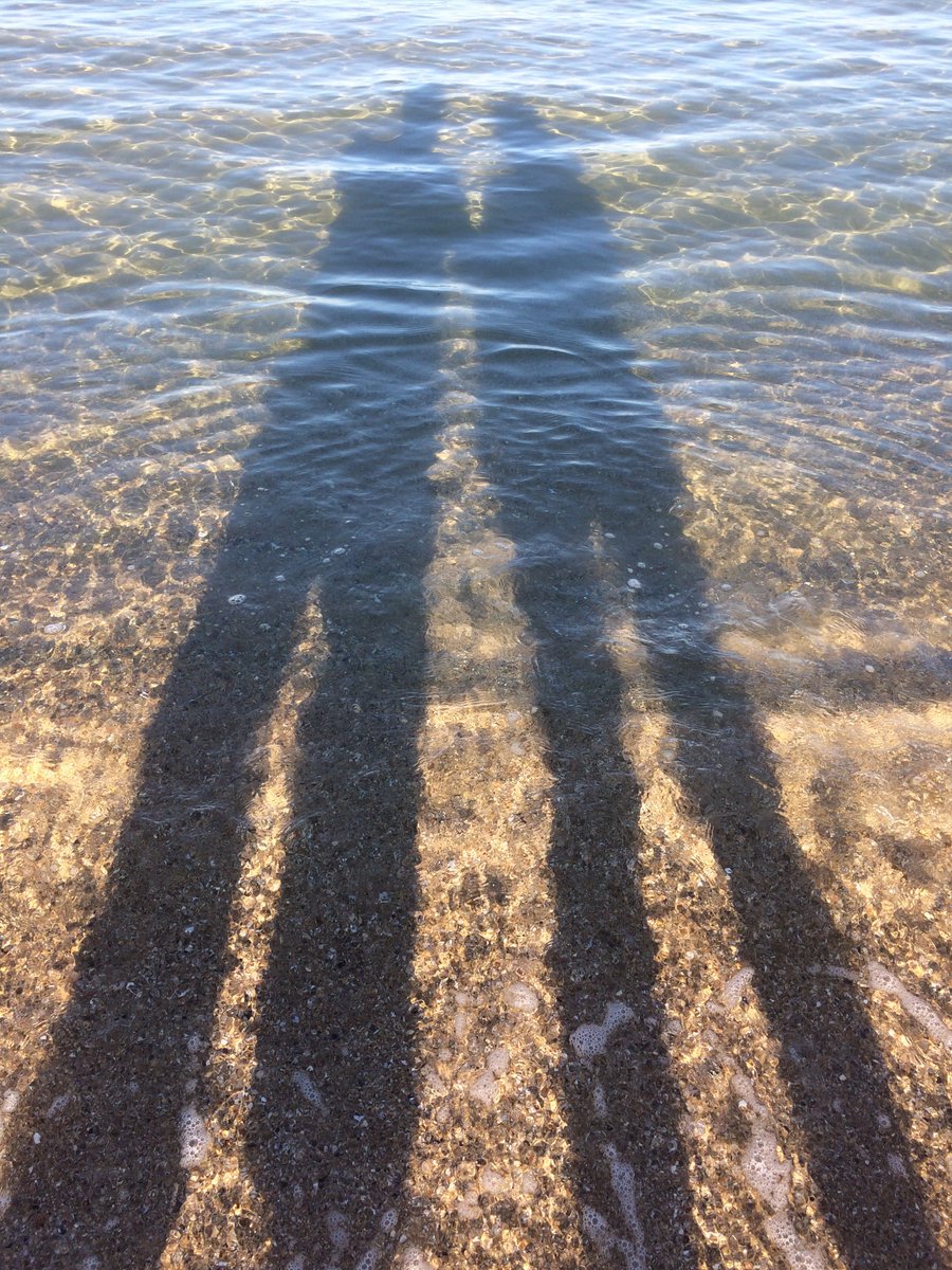 Bulgarian Charm tweet media