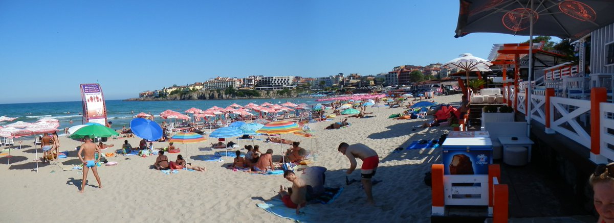 Bulgarian Charm tweet media