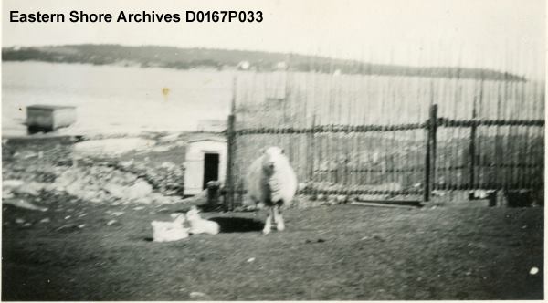 ESarchives tweet picture