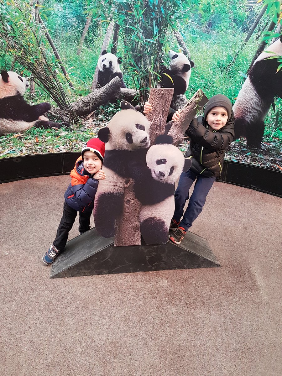 joyblue11's tweet photo. #TOPandaFarewell #torontozoo #familyfun thanks Toronto zoo staff for today https://t.co/bz9nQMt0mn