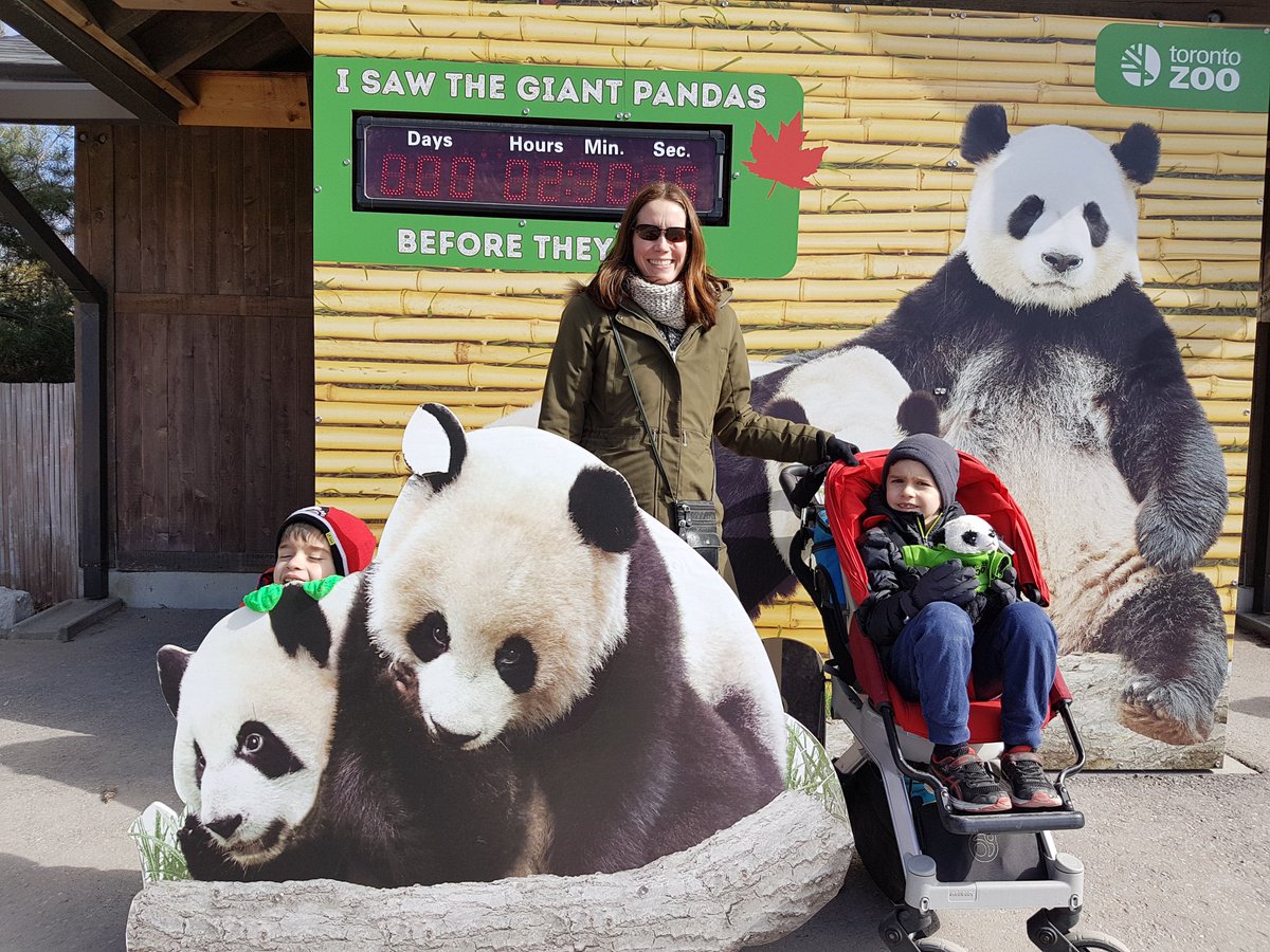 joyblue11's tweet photo. #TOPandaFarewell #torontozoo #familyfun thanks Toronto zoo staff for today https://t.co/bz9nQMt0mn
