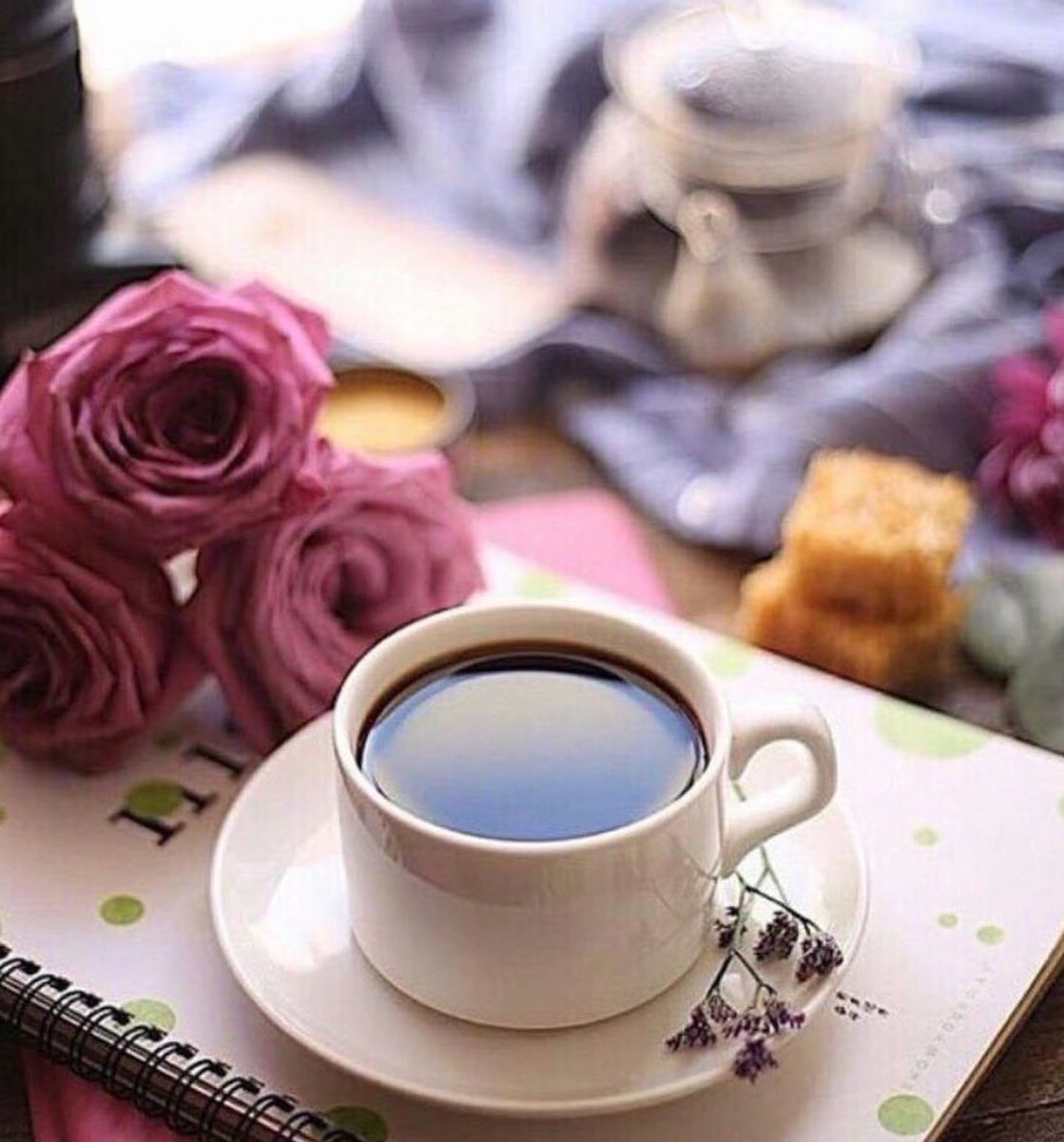 dhsilent's tweet photo. مكتفي بك لو كنت عن عيني بعيد 🕊️

#أصدقاء_تركي_للدعم
#قروب_تمنيتك_معي_للدعم https://t.co/uIsOubAh3r
