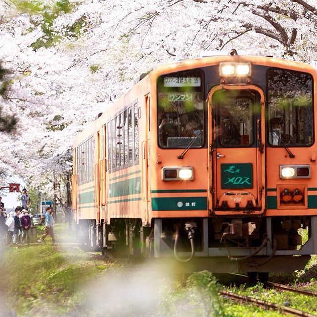 #春 #日本 #電車 #桜 #アーバンビレッジ